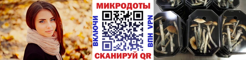 Купить где  Луза  Псилоцибиновые грибы GOLDEN TEACHER 