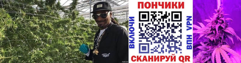 Купить где  Луза  Каннабис семена 